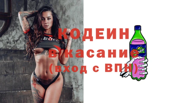 PSILOCYBIN Алзамай