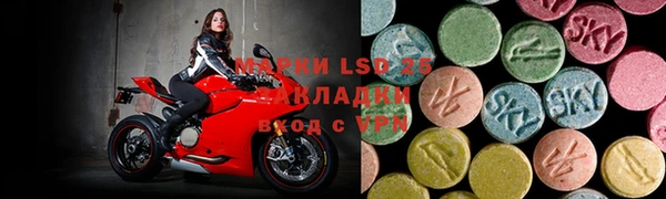 PSILOCYBIN Алзамай