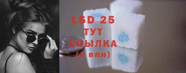 PSILOCYBIN Алзамай