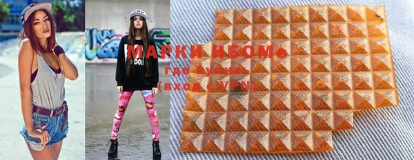 PSILOCYBIN Алзамай