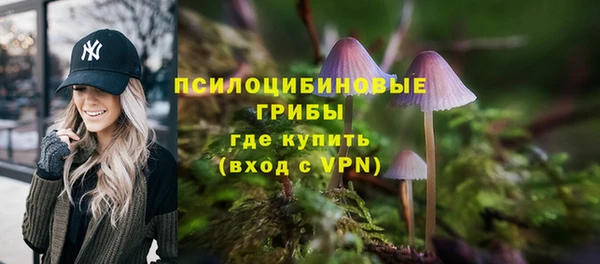 ПСИЛОЦИБИНОВЫЕ ГРИБЫ Алексин